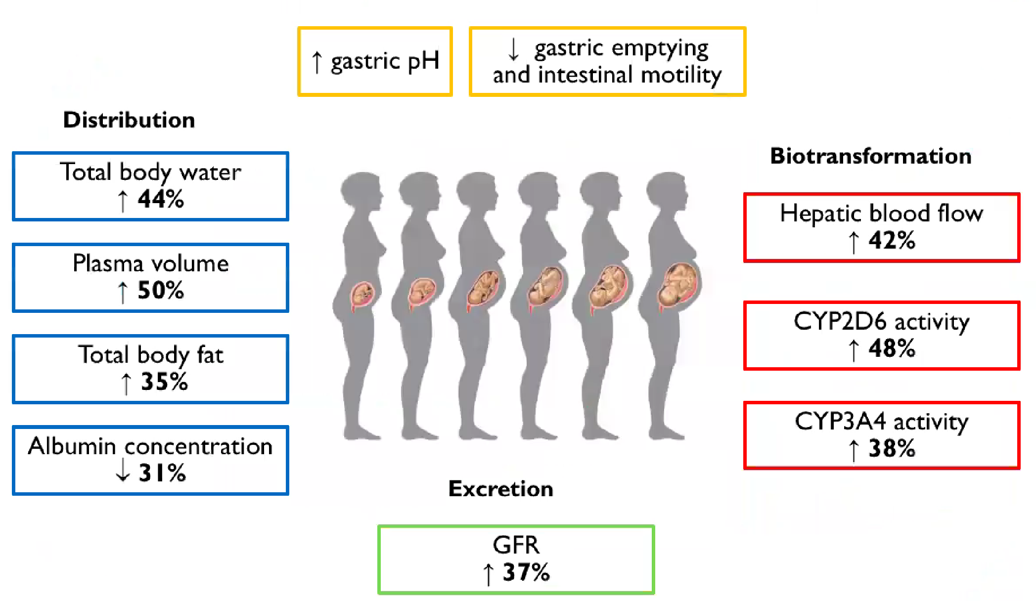 PK changes in pregnancy